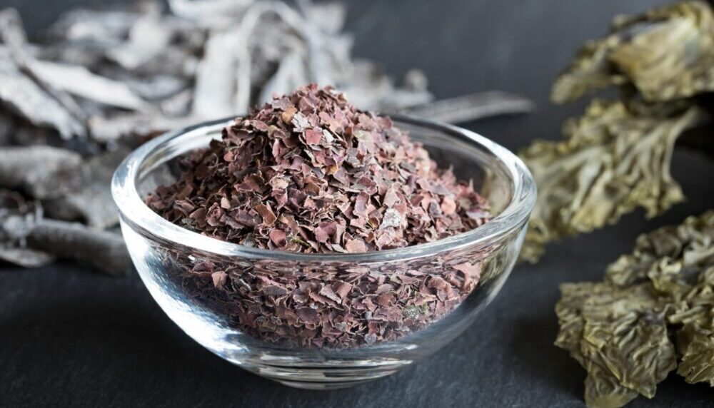 atlantic dulse